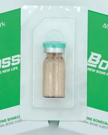 what-is-alloplast-bone-graft,