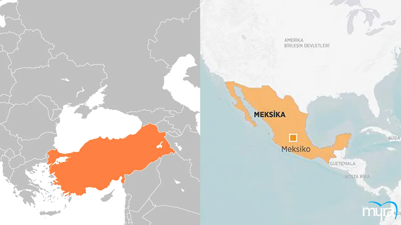 Comparative pricing and analysis of dentures in Turkey and Mexico